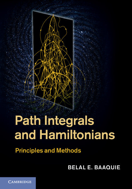 Path Integrals and Hamiltonians; Principles and Methods (Hardback) 9781107009790