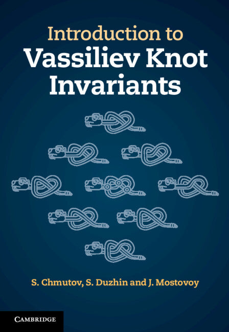 Introduction to Vassiliev Knot Invariants (Hardback) 9781107020832