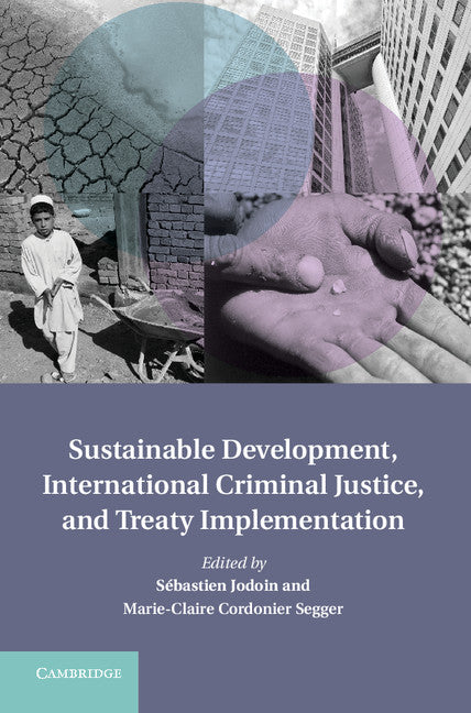 Sustainable Development, International Criminal Justice, and Treaty Implementation (Hardback) 9781107032934