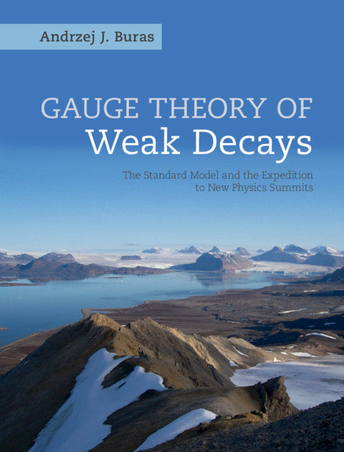 Gauge Theory of Weak Decays; The Standard Model and the Expedition to New Physics Summits (Hardback) 9781107034037