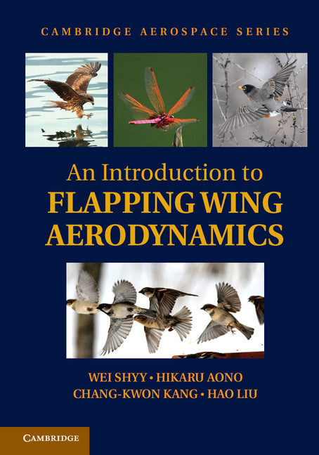 An Introduction to Flapping Wing Aerodynamics (Hardback) 9781107037267