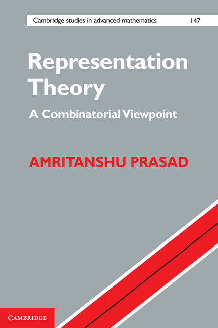 Representation Theory; A Combinatorial Viewpoint (Hardback) 9781107082052