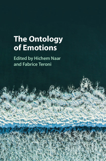 The Ontology of Emotions (Hardback) 9781107110540