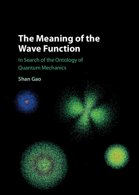The Meaning of the Wave Function; In Search of the Ontology of Quantum Mechanics (Hardback) 9781107124356