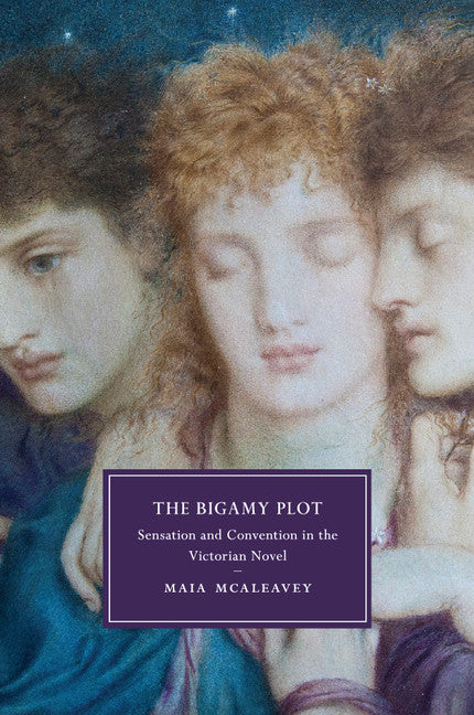 The Bigamy Plot; Sensation and Convention in the Victorian Novel (Paperback / softback) 9781107501348
