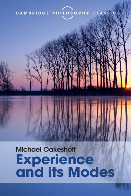 Experience and its Modes (Paperback / softback) 9781107534186