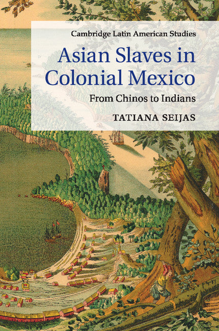 Asian Slaves in Colonial Mexico; From Chinos to Indians (Paperback / softback) 9781107635777