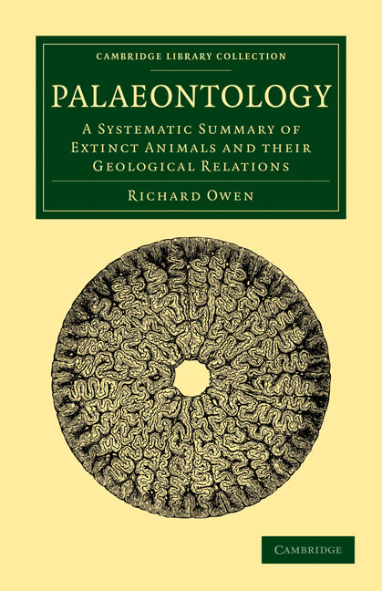 Palaeontology; A Systematic Summary of Extinct Animals and their Geological Relations (Paperback / softback) 9781108001335