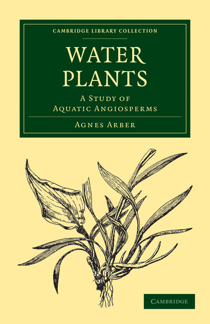 Water Plants; A Study of Aquatic Angiosperms (Paperback / softback) 9781108017329