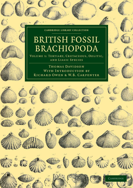 British Fossil Brachiopoda (Paperback / softback) 9781108038171