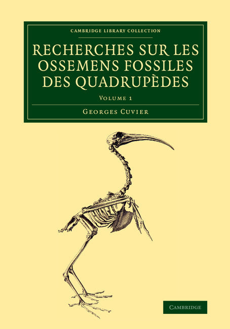 Recherches sur les ossemens fossiles des quadrupèdes (Paperback / softback) 9781108083751