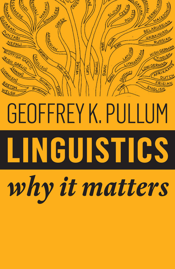 Linguistics – Why it Matters (Paperback / softback) 9781509530762
