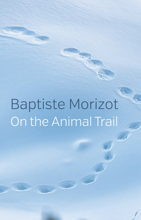 On the Animal Trail (Paperback / softback) 9781509547180