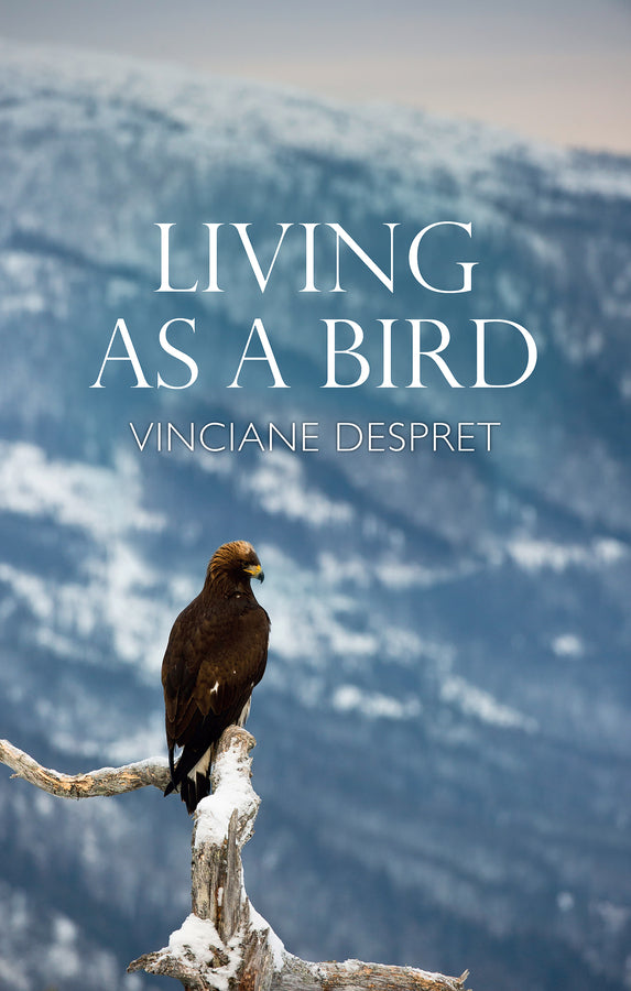 Living as a Bird (Paperback / softback) 9781509547272