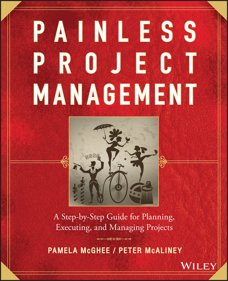 Painless Project Management; A Step-by-Step Guide for Planning, Executing, and Managing Projects (Paperback / softback) 9780470117217