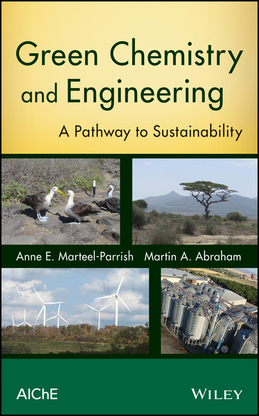 Green Chemistry and Engineering; A Pathway to Sustainability (Hardback) 9780470413265
