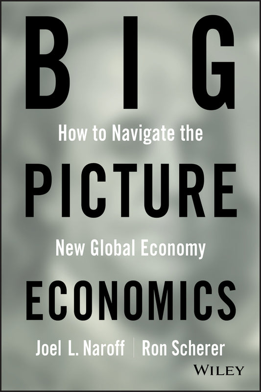 Big Picture Economics; How to Navigate the New Global Economy (Hardback) 9780470641811