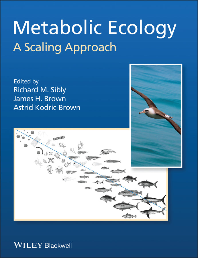 Metabolic Ecology; A Scaling Approach (Paperback / softback) 9780470671528