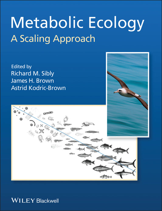 Metabolic Ecology; A Scaling Approach (Paperback / softback) 9780470671528