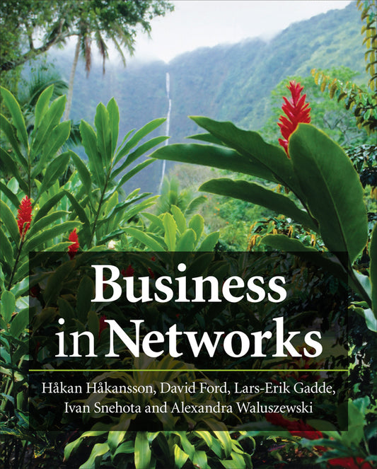 Business in Networks (Paperback / softback) 9780470749630