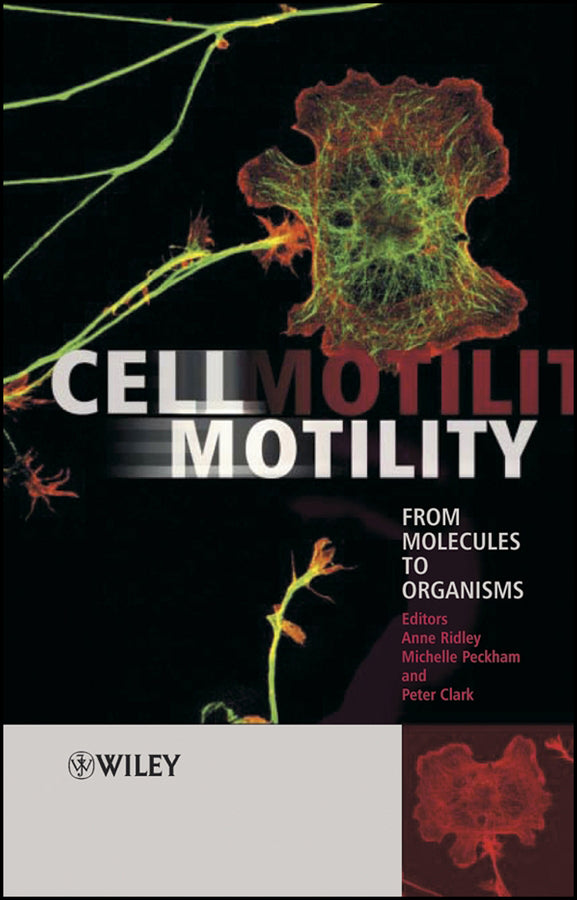 Cell Motility; From Molecules to Organisms (Hardback) 9780470848722
