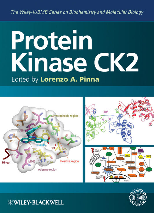 Protein Kinase CK2 (Hardback) 9780470963036