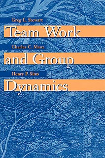 Team Work and Group Dynamics (Paperback / softback) 9780471197690