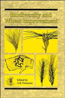 Biodiversity and Wheat Improvement (Hardback) 9780471941378
