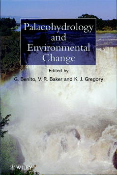 Palaeohydrology and Environmental Change (Hardback) 9780471984658