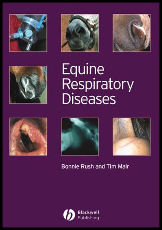 Equine Respiratory Diseases (Paperback / softback) 9780632052622