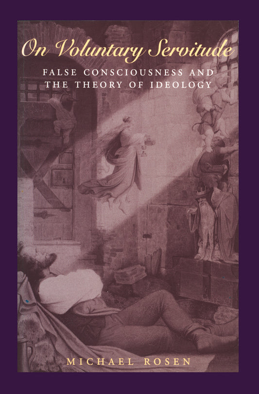 On Voluntary Servitude; False Consciousness and The Theory of Ideology (Hardback) 9780745605951