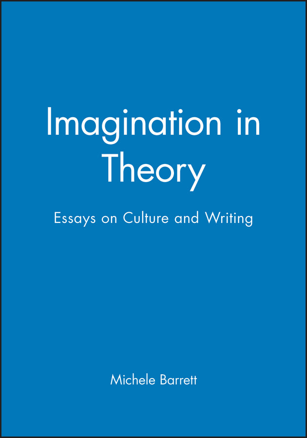 Imagination in Theory; Essays on Culture and Writing (Hardback) 9780745616667