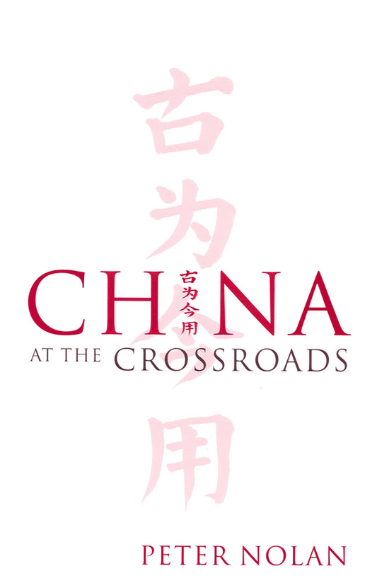 China at the Crossroads (Hardback) 9780745632384
