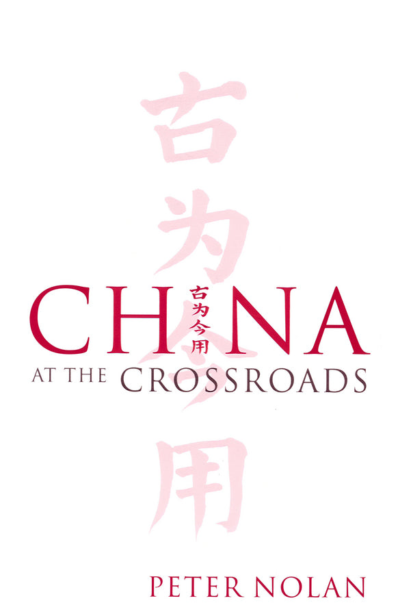 China at the Crossroads (Paperback / softback) 9780745632391