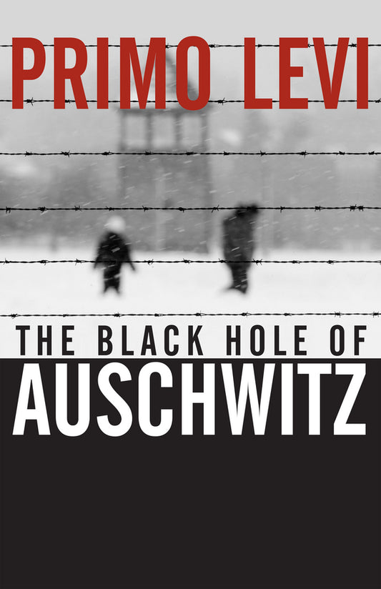 The Black Hole of Auschwitz (Paperback / softback) 9780745632414