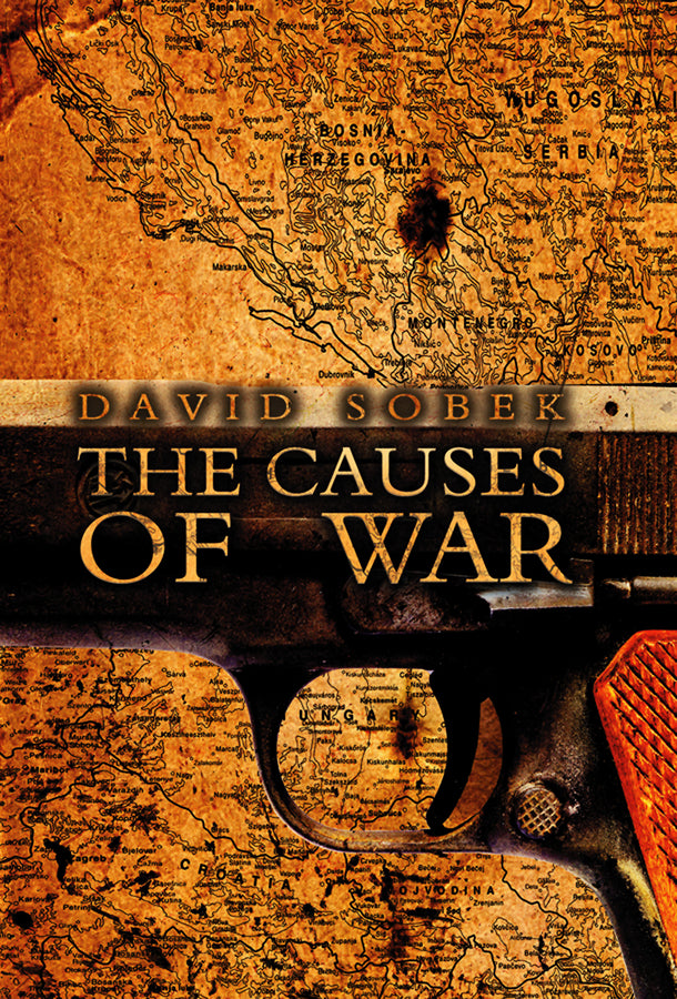 The Causes of War (Hardback) 9780745641980