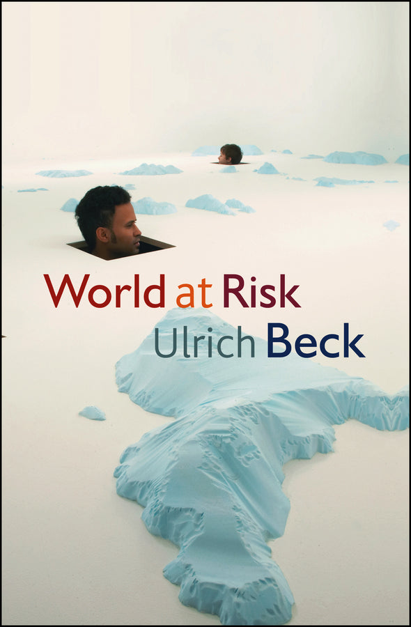 World at Risk (Paperback / softback) 9780745642017