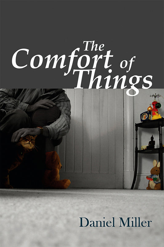 The Comfort of Things (Paperback / softback) 9780745644042