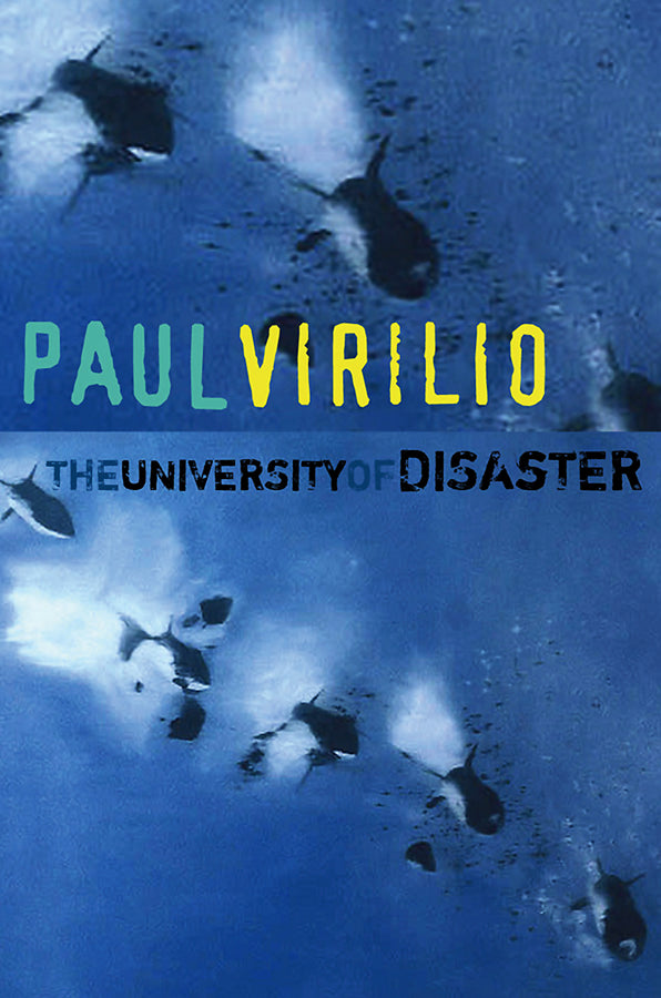 University of Disaster (Paperback / softback) 9780745645056