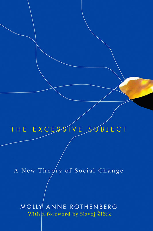The Excessive Subject; A New Theory of Social Change (Hardback) 9780745648231