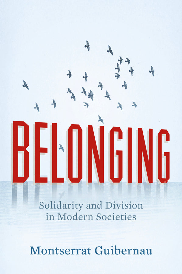 Belonging; Solidarity and Division in Modern Societies (Paperback / softback) 9780745655079