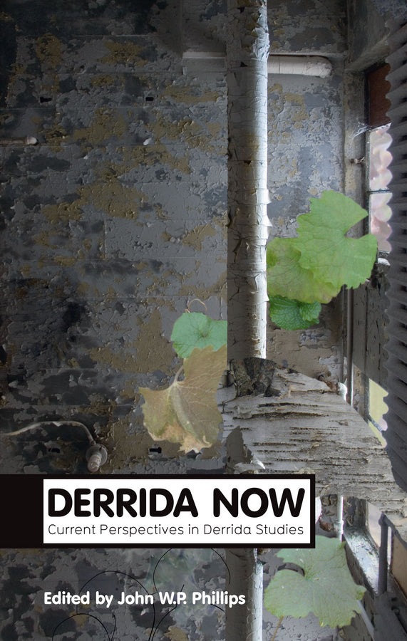 Derrida Now; Current Perspectives in Derrida Studies (Paperback / softback) 9780745655741
