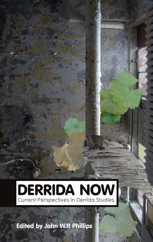 Derrida Now; Current Perspectives in Derrida Studies (Paperback / softback) 9780745655741