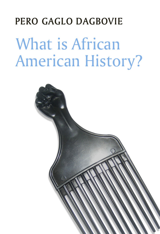 What is African American History? (Paperback / softback) 9780745660813