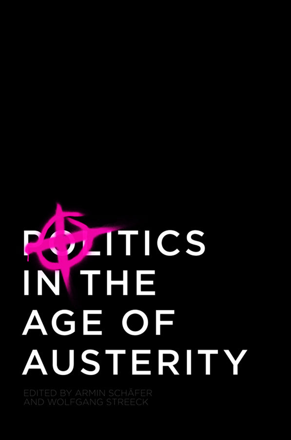 Politics in the Age of Austerity (Paperback / softback) 9780745661698