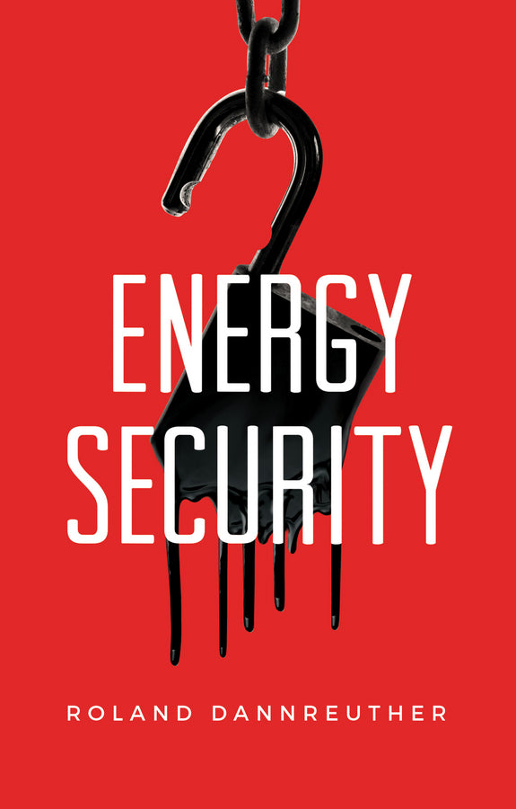 Energy Security (Paperback / softback) 9780745661919
