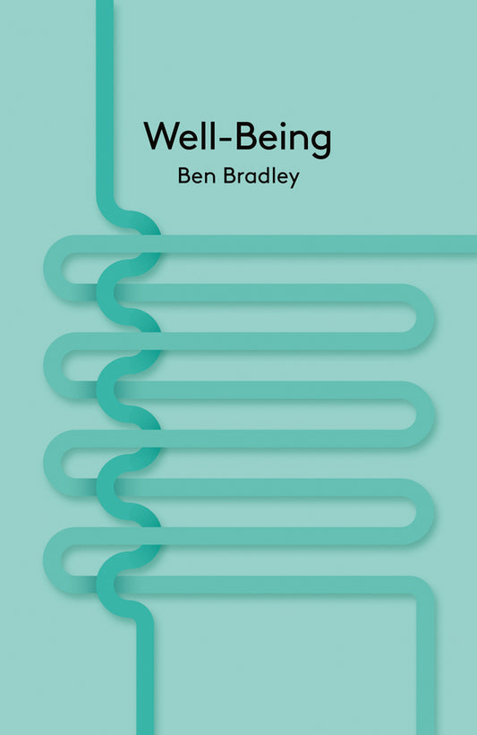 Well-Being (Paperback / softback) 9780745662732