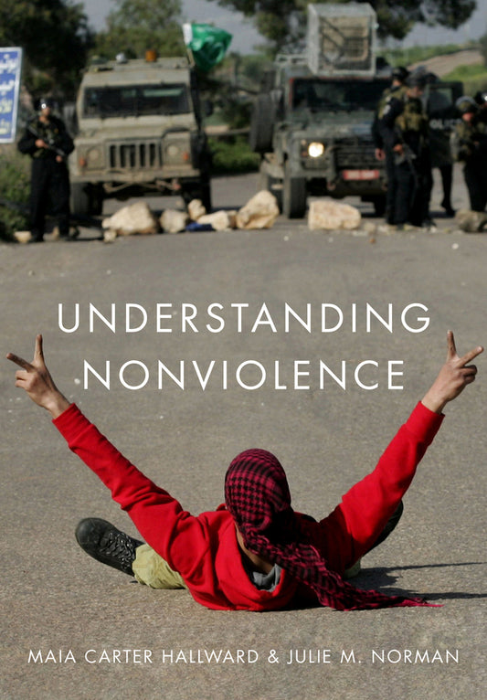 Understanding Nonviolence (Hardback) 9780745680163