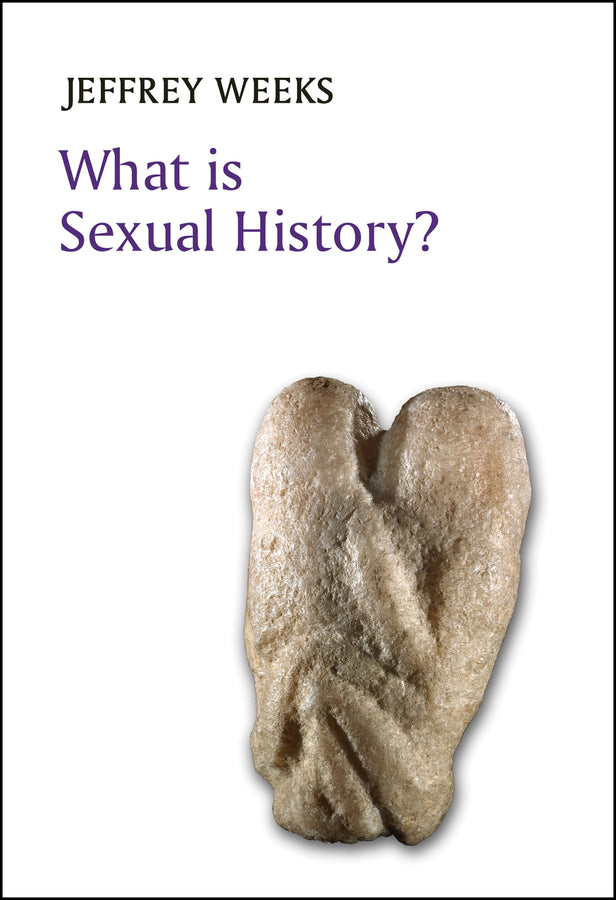 What is Sexual History? (Paperback / softback) 9780745680255