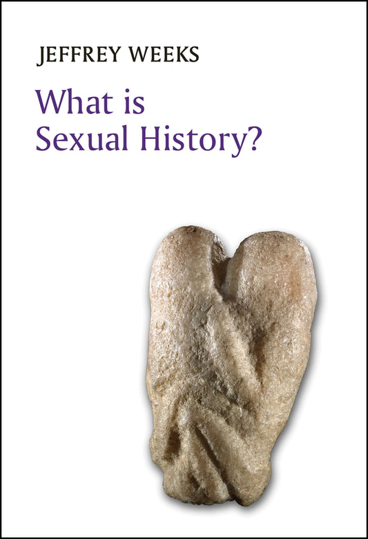 What is Sexual History? (Paperback / softback) 9780745680255